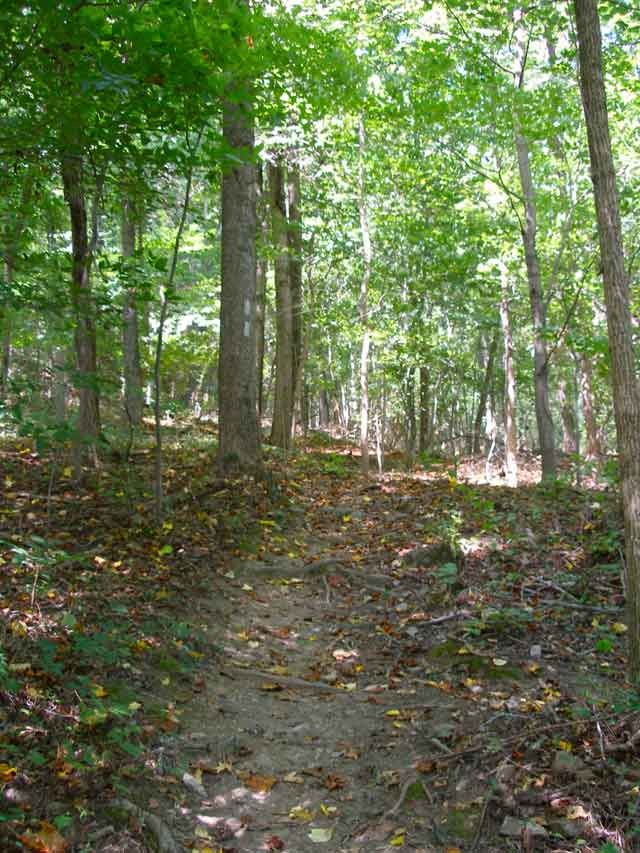 2008-08-31_Appalachian_Trail