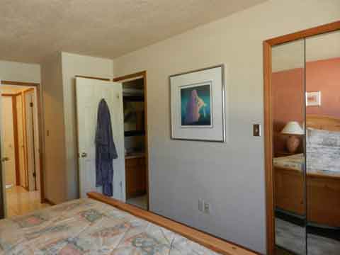 Master Bedroom and Closet
