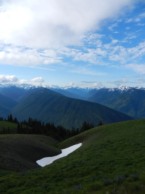 Hurricane Ridge