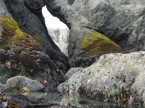 Tide Pool and Window